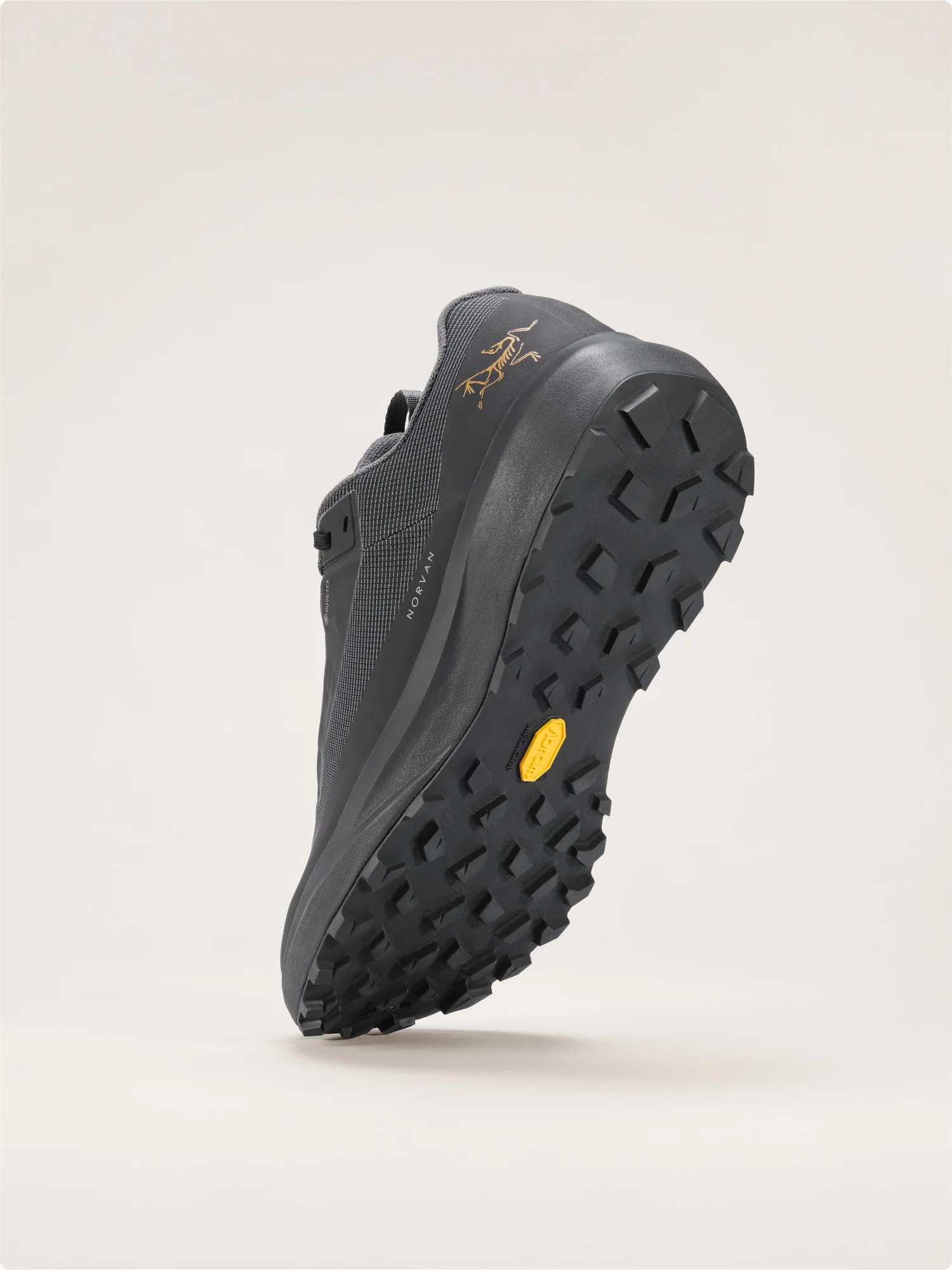 Norvan LD 4 GTX Shoe Women's - Image 5