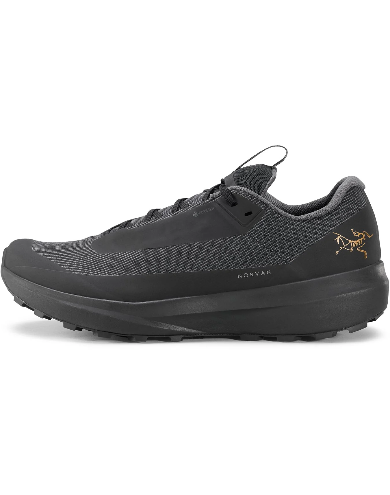 Norvan LD 4 GTX Shoe Women's - Image 6