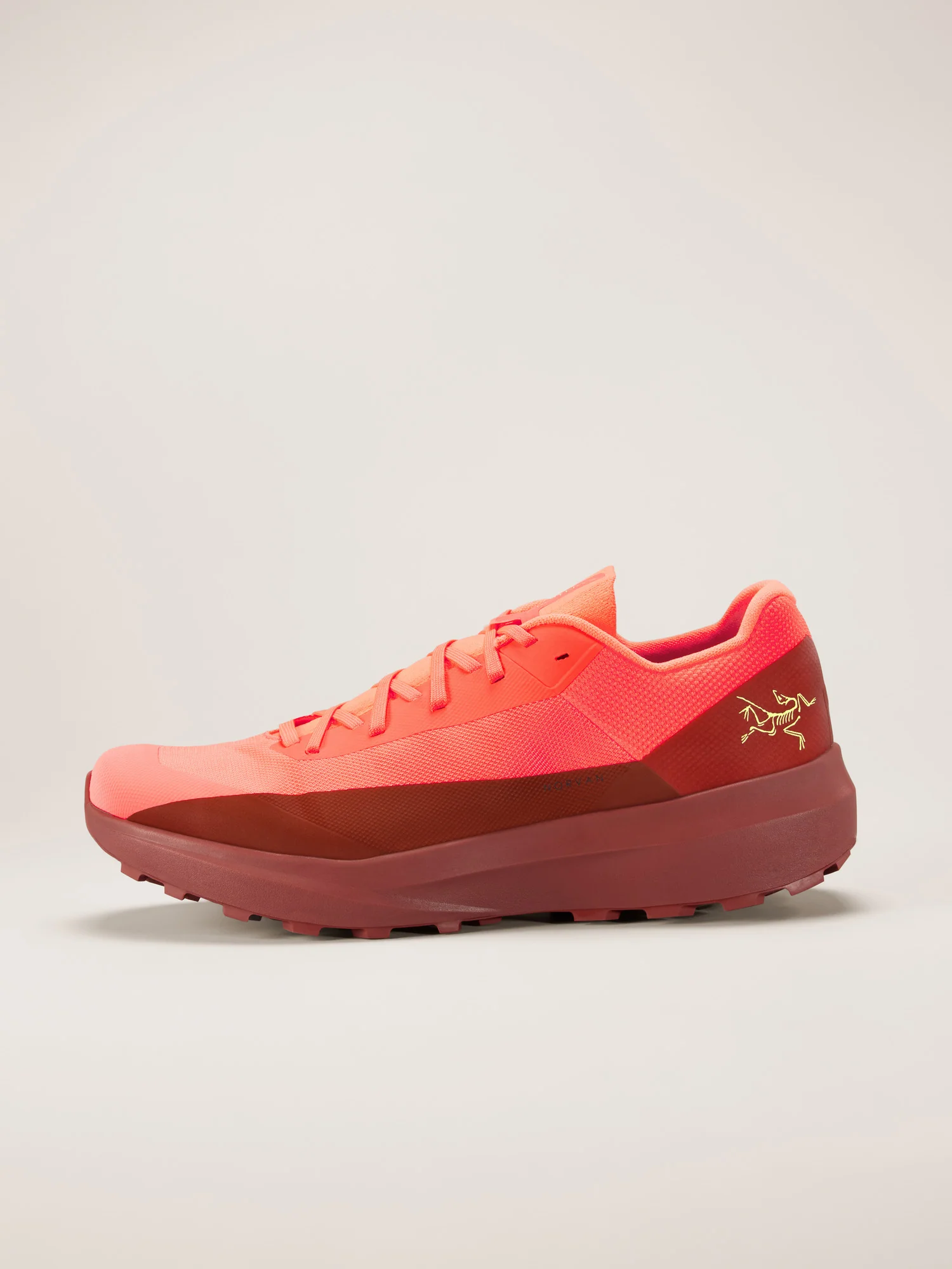 Norvan LD 4 Shoe Men's