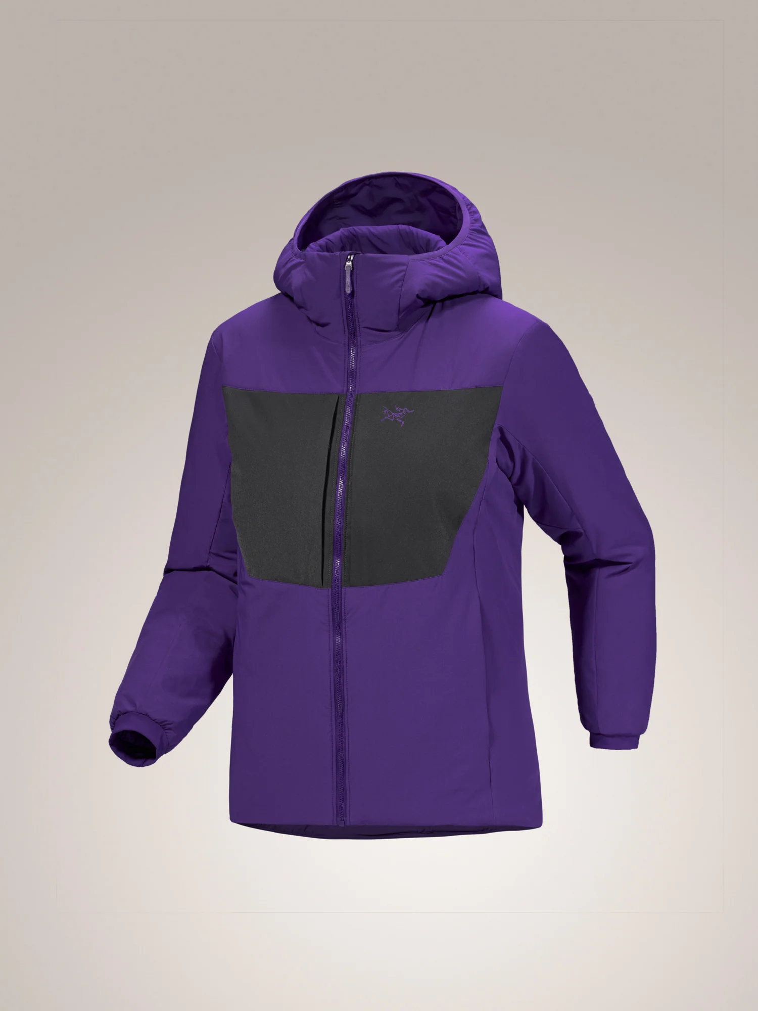 Proton Heavyweight Hoody Women's - Image 9
